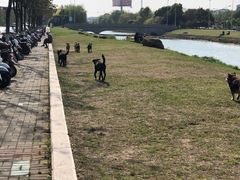 -维也纳国际酒店·江苏苏州火车站北广场店