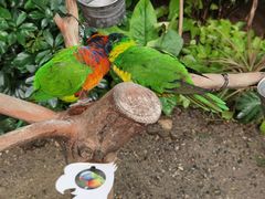 -南宫五洲植物乐园