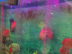 -雅悦齿科(顾村公园店)