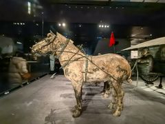 -秦始皇帝陵博物院-丽山园