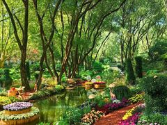 -上海共青森林公园