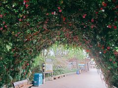 -芜湖方特东方神画