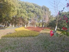 -范蠡湖公园