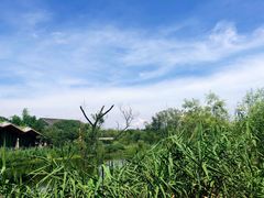 -西湖风景区-江洋畈生态公园