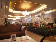 -名流健康高端体检中心·名宾门诊·健康管理