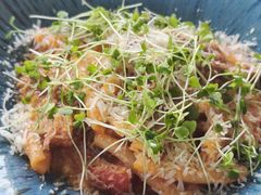 -Hi City·城市之巅