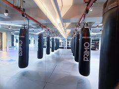 -花环泰拳·勒德斯拉泰拳馆(静安店)