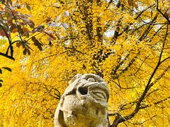 -北京石刻艺术博物馆(五塔寺)