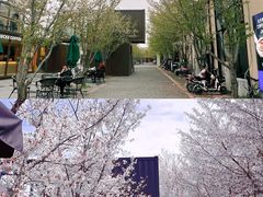 -智慧湾科创园