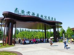 -黄海国家森林公园