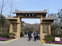 -习家池