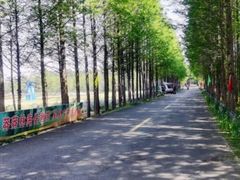 -渡海小渔村.老辈日照菜