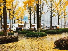 -百林公园-两江幸福广场