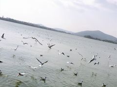 -蠡湖大桥公园