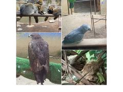 -杭州野生动物世界