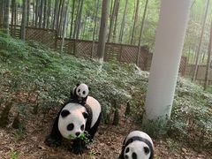 -天目湖御水温泉·度假酒店