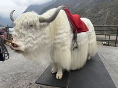 -叠溪松坪沟景区