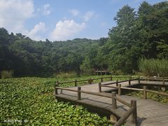 -天目湖山水园