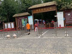 -西青郊野公园