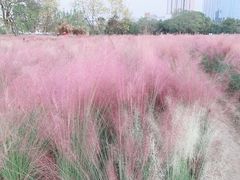 -艾溪湖湿地公园