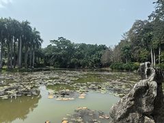 -中国科学院西双版纳热带植物园