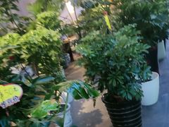 -百荣世贸商城
