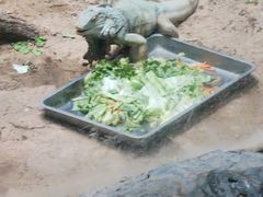 -鄂尔多斯野生动物园