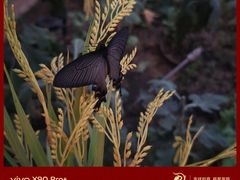 -北京国际鲜花港