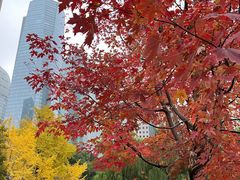 -陆家嘴中心绿地