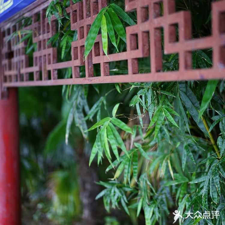 丹江大观苑第六届秋获节，吃全鱼宴，住湖景房，超奶丝～