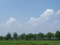 -西青郊野公园