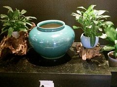 -黄记煌三汁焖锅(欢乐海岸店)