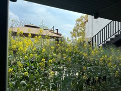 -黄山老妈·土菜(碧桂园店)