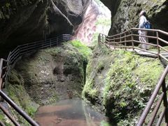 -江西阳明山国家森林公园