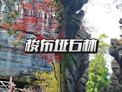 -梭布垭石林景区