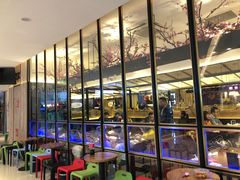 -老板恋上鱼(荣盛广场店)
