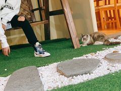 -白兔子密室(长寿路店)