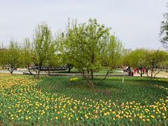 -长春公园(普阳街道)