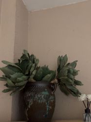 -香秀空间科技抗衰·美容中心