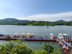 -佛手湖郊野公园