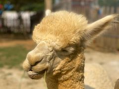 -云漫湖生态度假公园