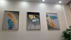 -久匠·纹眉半永久野生眉