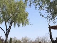 -济南野生动物世界