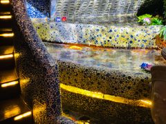 -丽晶大班SPA(大沽店)