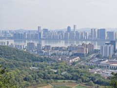 -八卦田遗址公园