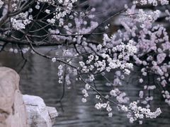-国家植物园