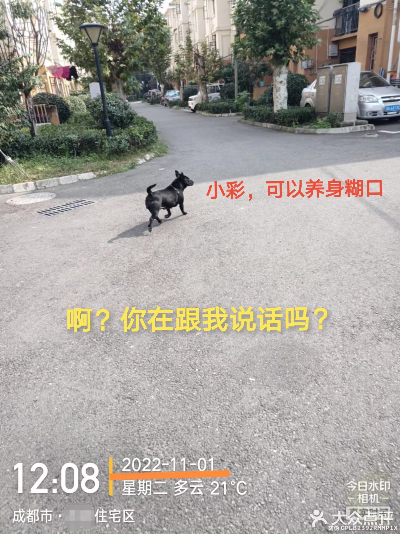 11月1日:彩票中奖68.8元，吃滴油水饺