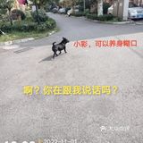 11月1日:彩票中奖68.8元，吃滴油水饺