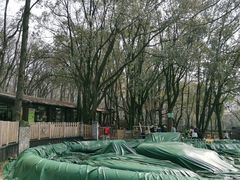 -WeLope紫金山探险公园