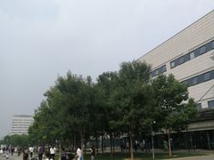 -首都医科大学附属北京天坛医院